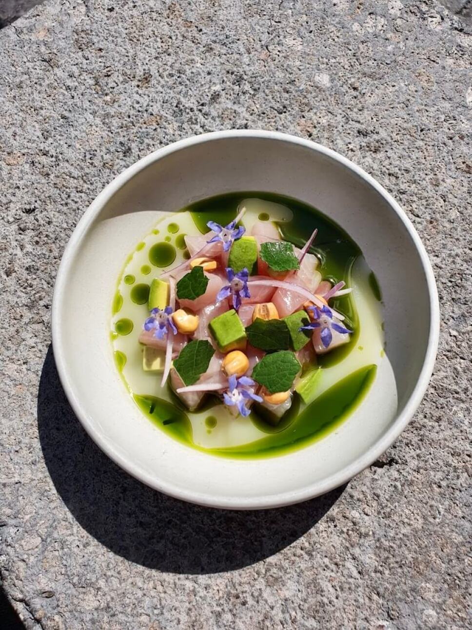 ceviche de pesca caracol de mar
