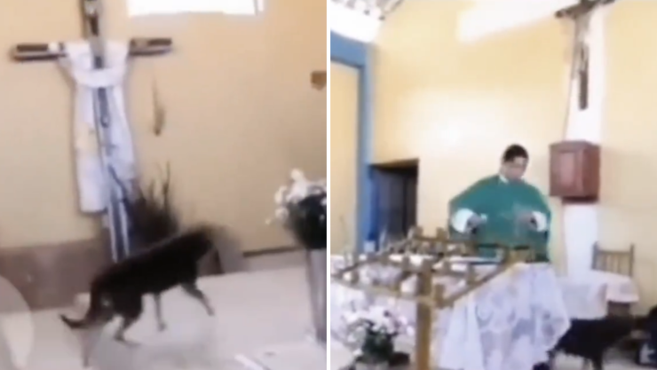 Sacerdote patea perrito.png