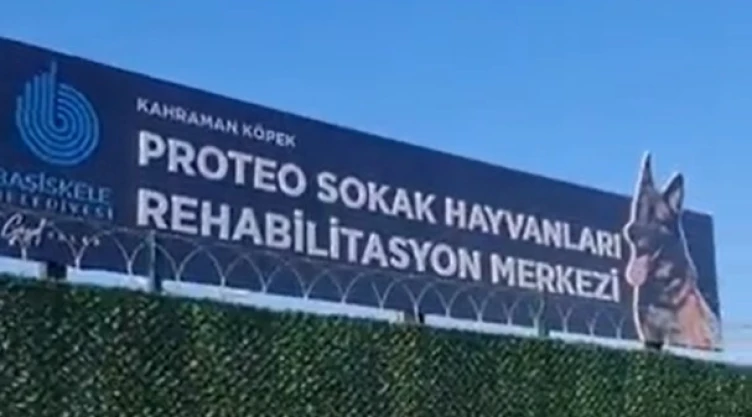 En Turquia, un Centro de Rehabilitación también se llamará Proteo, como el perro rescatista mexicano