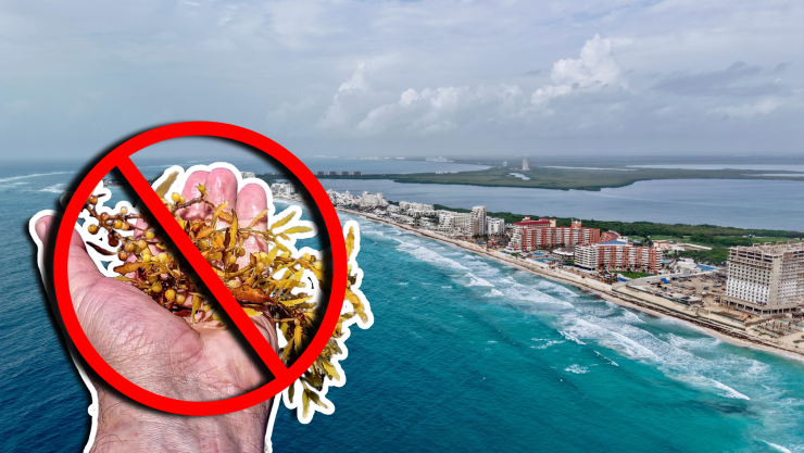 Estas son las playas sin sargazo en Quintana Roo HOY 19 de octubre de 2025_ De Holbox, Cancún, Playa del Carmen, Tulum a Xcalak.jpg