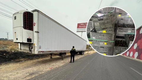 Tráiler con aguacate.png