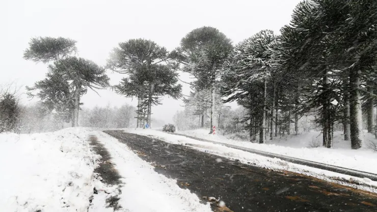 Densa nieve en California
