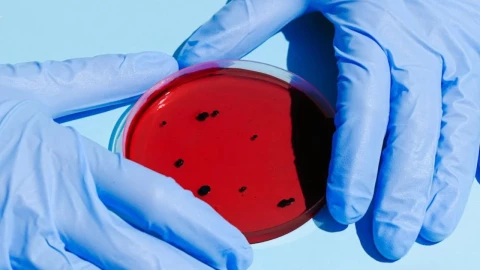 Cofepris-inmoviliza-soluciones-intravenosas-Klebsiella-oxytoca