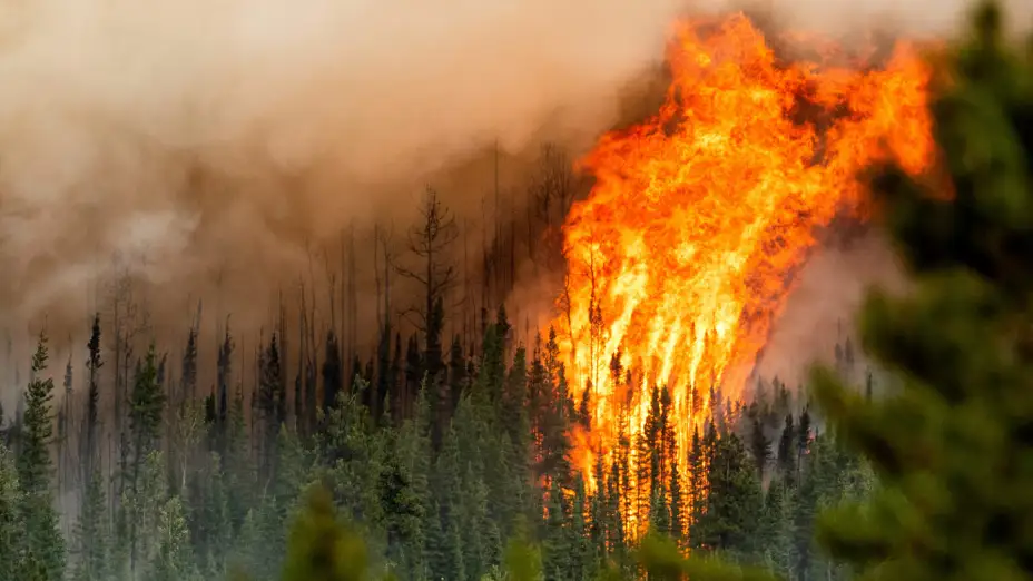 Incendios forestales en Canadá.