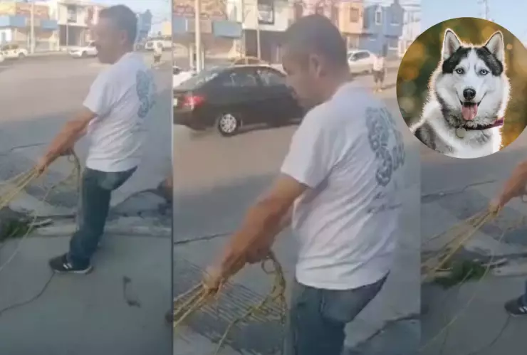 Captan a hombre asfixiando a un perro husky