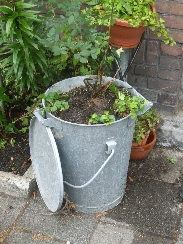 Recicla las cubetas viejas de tu casa para hacer macetas