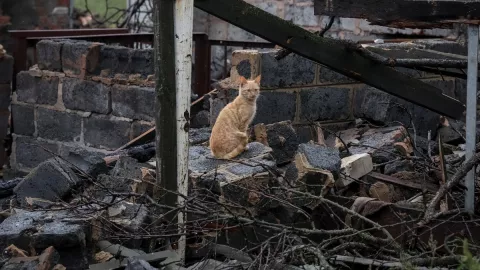 Rusia cometió crímenes de guerra