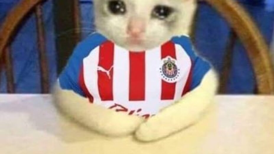 Los memes contra Chivas.jpg