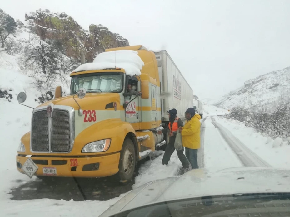 nevadas