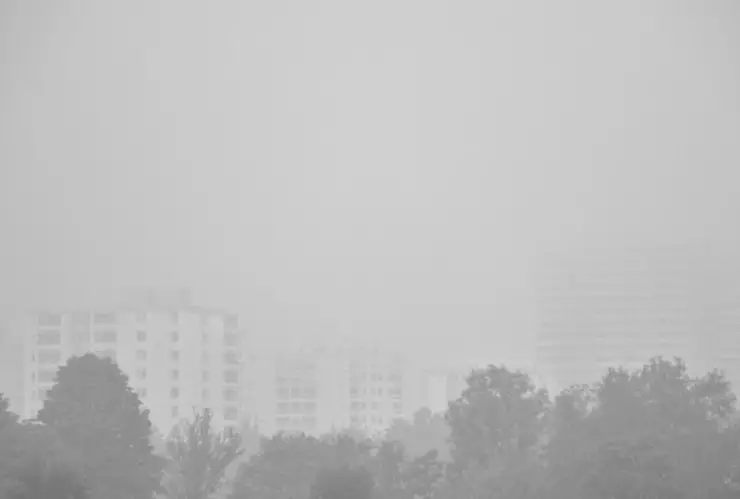 Neblina Tijuana hoy lunes 23 y 24 de diciembre de 2024 ¿A qué hora empezará?