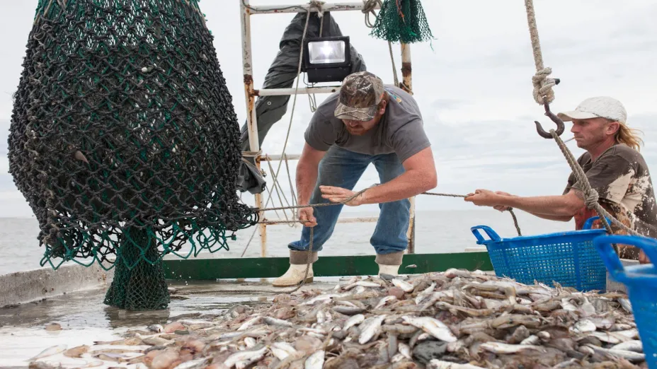 Solicita el gobierno de México al de Estados Unidos exentar del embargo a la pesca ribereña de camarón_CO.jpg