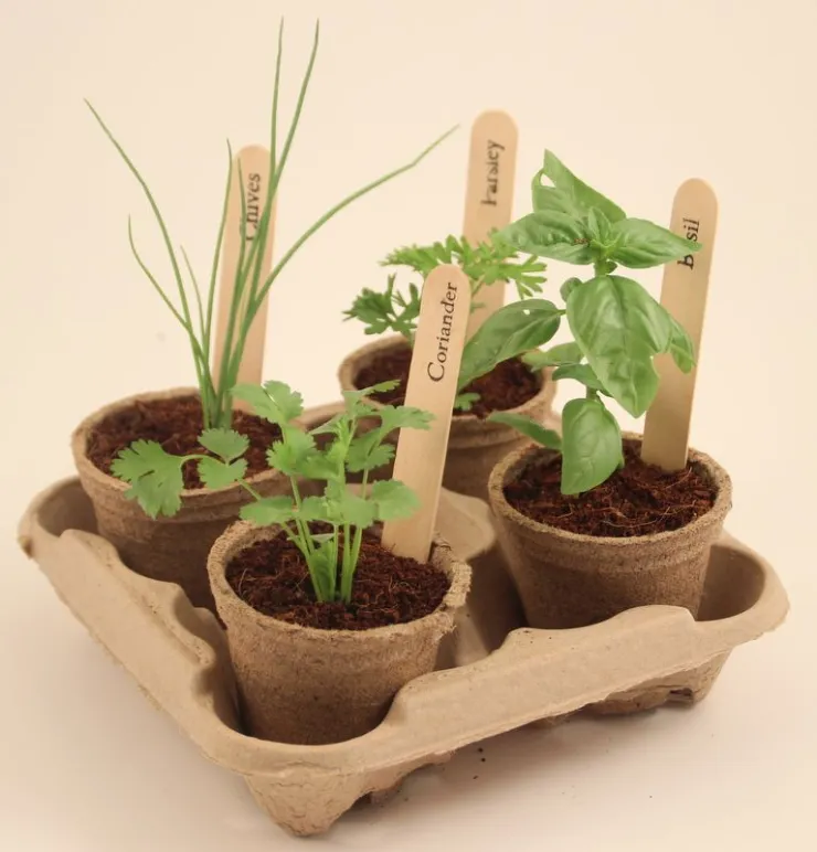 Semilleros biodegradables para tu huerto urbano