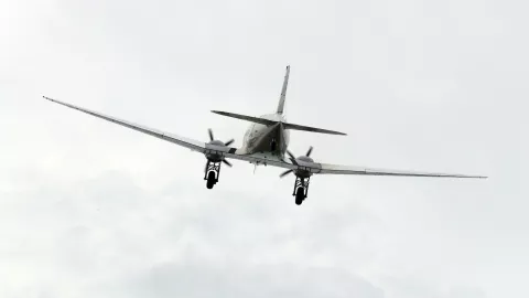 Pasajera confunde puerta del baño con la puerta de emergencia del avión y esto pasó