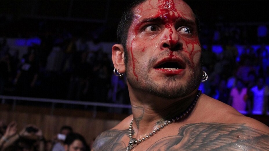 Luchador Cibernético