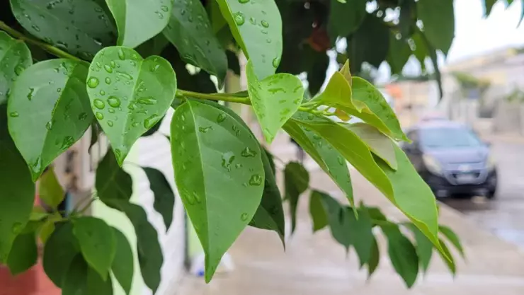 Esta es la HORA exacta en que caerán las lluvias hoy en Yucatán lunes 13 de enero de 2025