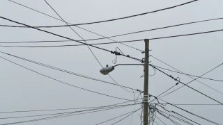 Adolescente muere electrocutado al caer de un poste de luz.png