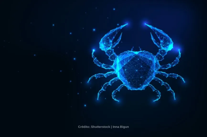 Cáncer cangrejo azul.jpg