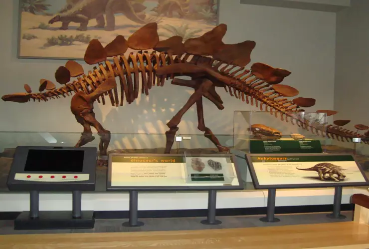 Restos de dinosaurio