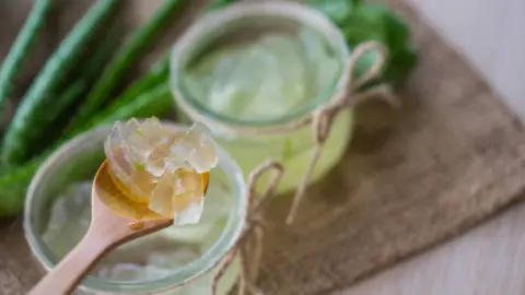 aloe vera