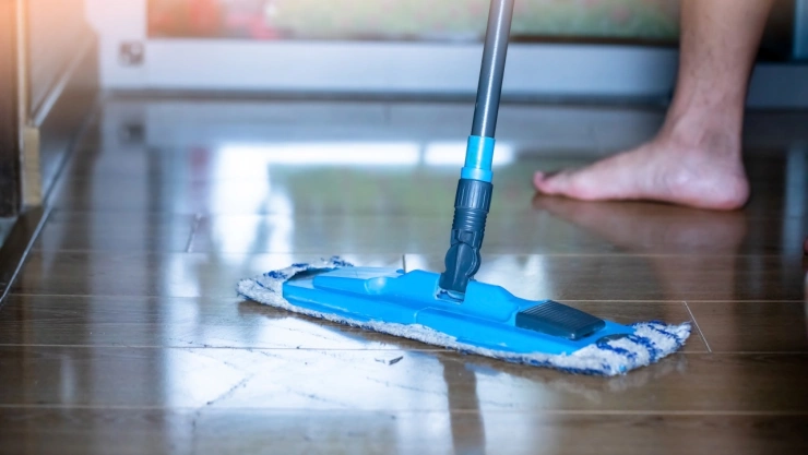 ¡Ya no salen! Usa este ingrediente natural para trapear y acabar con las hormigas