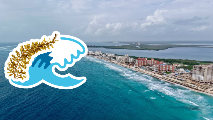 Playas libres de sargazo en Quintana Roo HOY 13 de julio de 2025_ Lista desde Holbox, Cancún y hasta Tulum.jpg