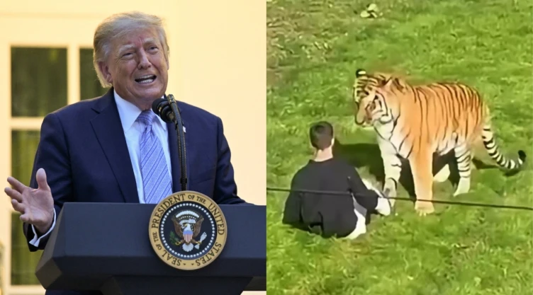 Donald Trump se burla de William Chapman tras el ataque del tigre