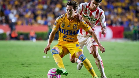 Tigres derrotan a Rayos del Necaxa en repechaje