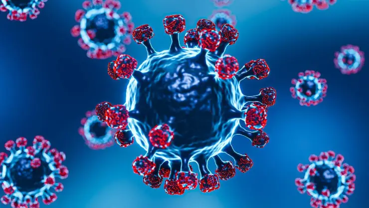 virus ebola