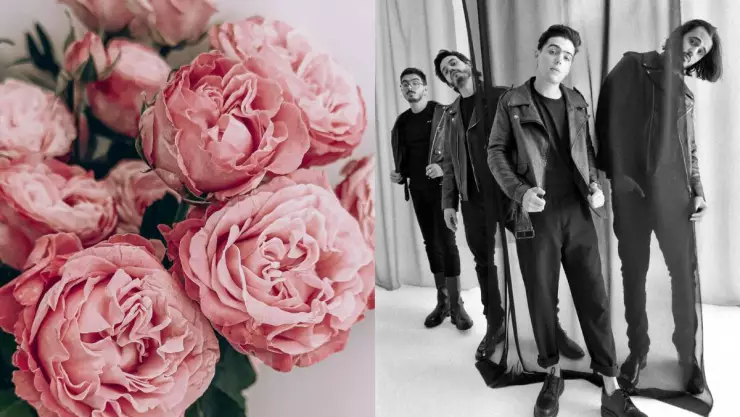 por que regalar flores el 29 de febrero morat cancion