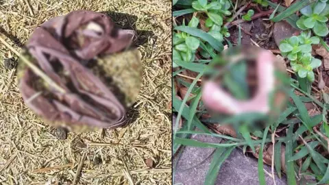 Desde DIENTES hasta ropa interior: Revelan FOTOS de objetos abandonados en feria de Tizimín