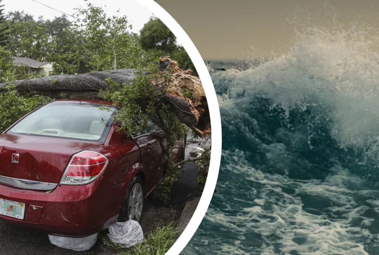 ¡Alerta total! Mhoni Vidente visualiza 4 huracanes y temblores energéticos en septiembre