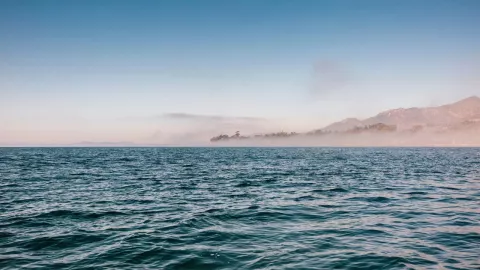 z - 2024-02-22T173433.115.jpg