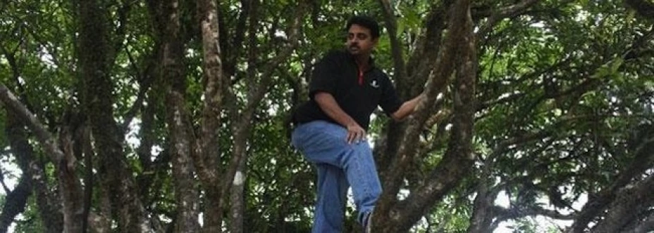 Sanjay vive en un árbol