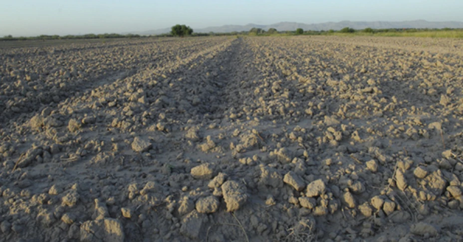 4.6 mdp para mitigar daños por sequía en Coahuila