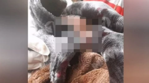 Bebé recién nacida es abandonada en una llanta en Nuevo León; presenta hipotermia