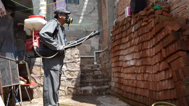 Casos de dengue en siguen en aumento; México activará protocolos