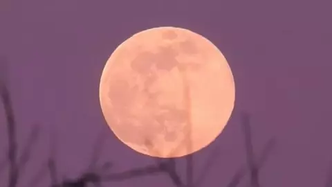 Luna Rosa 2024_ Esta es la HORA EXACTA para ver la luna llena de abril en su punto máximo