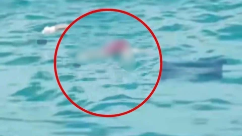 Encuentran cuerpo sin vida FLOTANDO en altamar frente a Río Lagartos y se da aviso a la policía; esto es lo que se sabe al respecto