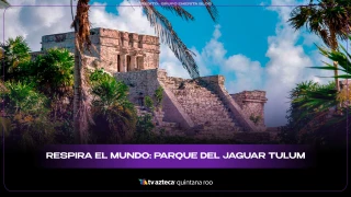 Respira el mundo: Parque del Jaguar Tulum