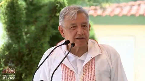 amlo