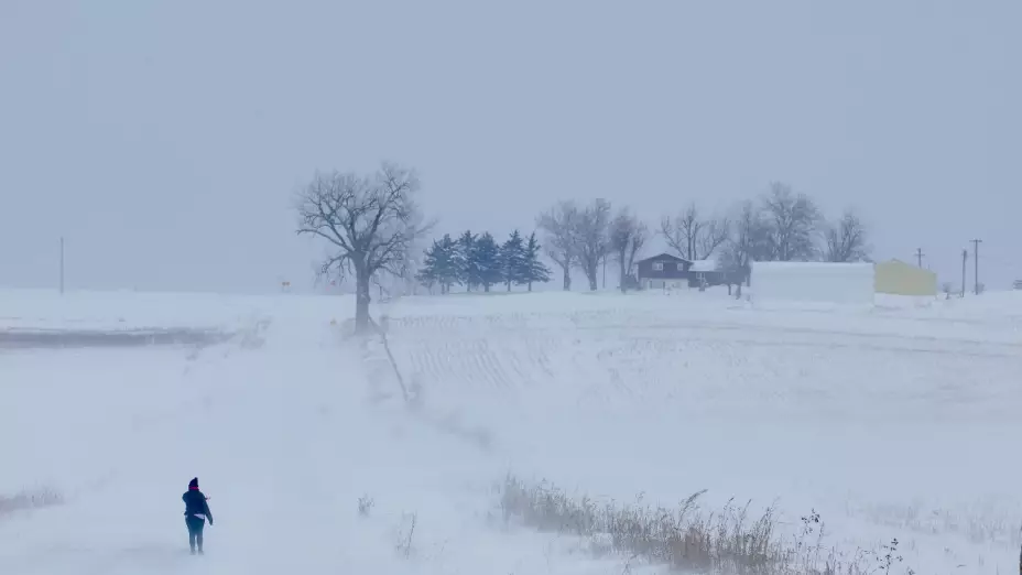 VIDEO: Clima extremo congela a Estados Unidos