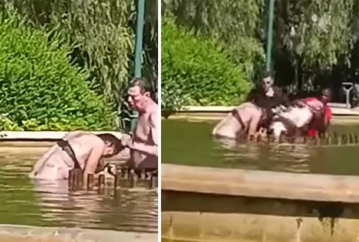 hombre intenta ahogar a mujer en una fuente de valencia