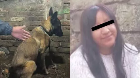 Binomio canino fue clave para hallar el cuerpo de Jazmín García, mujer policía enterrada en su casa de CDMX