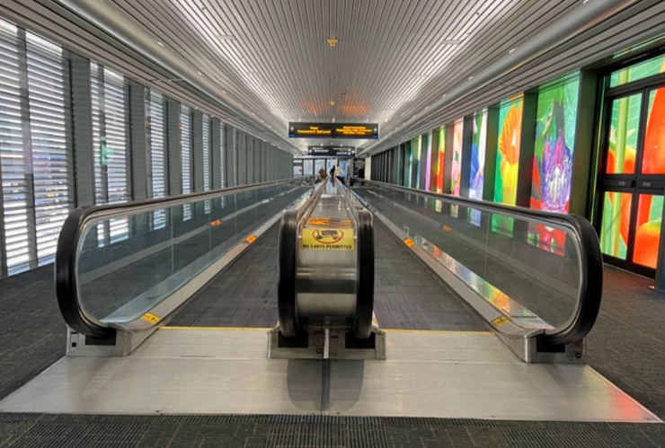 Cinta transportadora del MIA