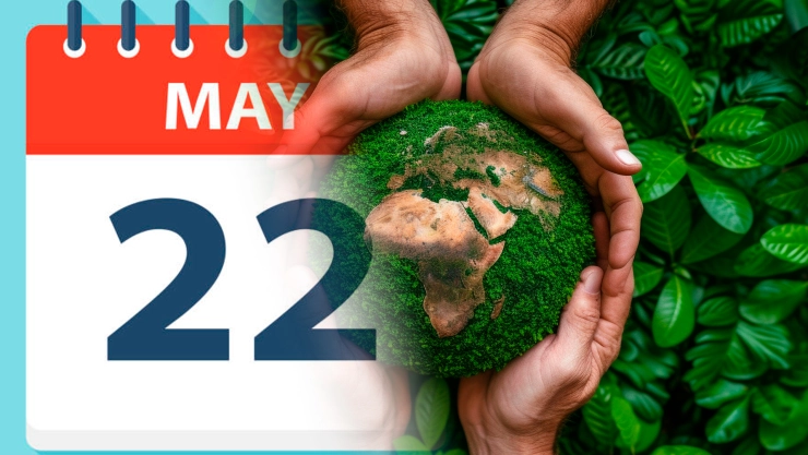 22 de mayo