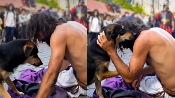 perrito pasión cristo