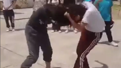 alumans pelea tecnica 50 bosques de san sebastian