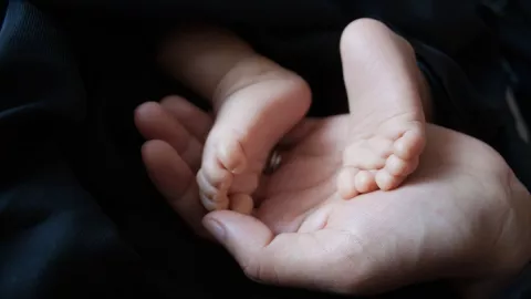 Localizan 6 cuerpos de recién nacidos en entrada de panteón en Santo Domingo, Puerto Rico