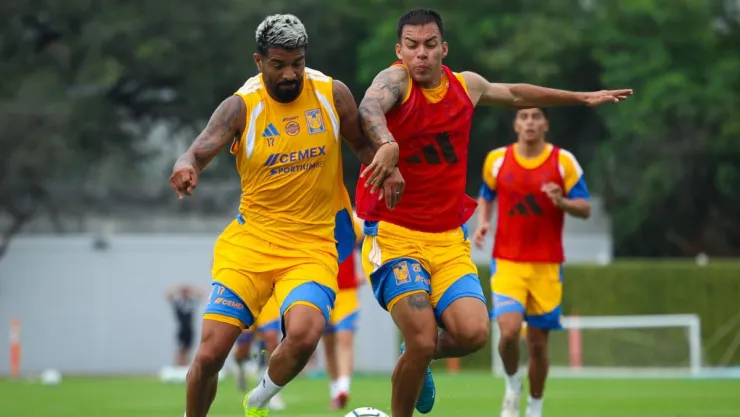 tigres-final-mundial-clubes-segundo-mejor-mundo.jpg