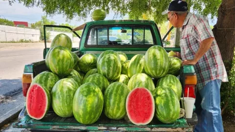 Don juan vende sandías desde hace 40 años